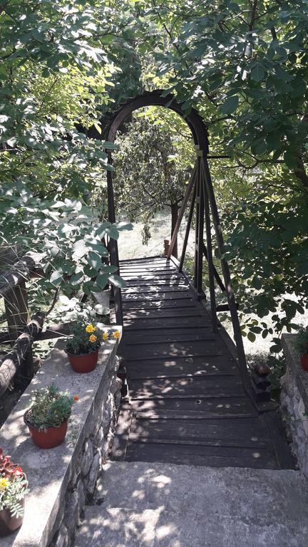 Skriveni Raj Leilighet Vrdnik Rom bilde