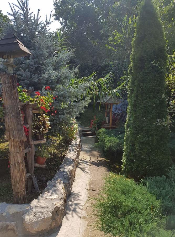 Skriveni Raj Leilighet Vrdnik Rom bilde