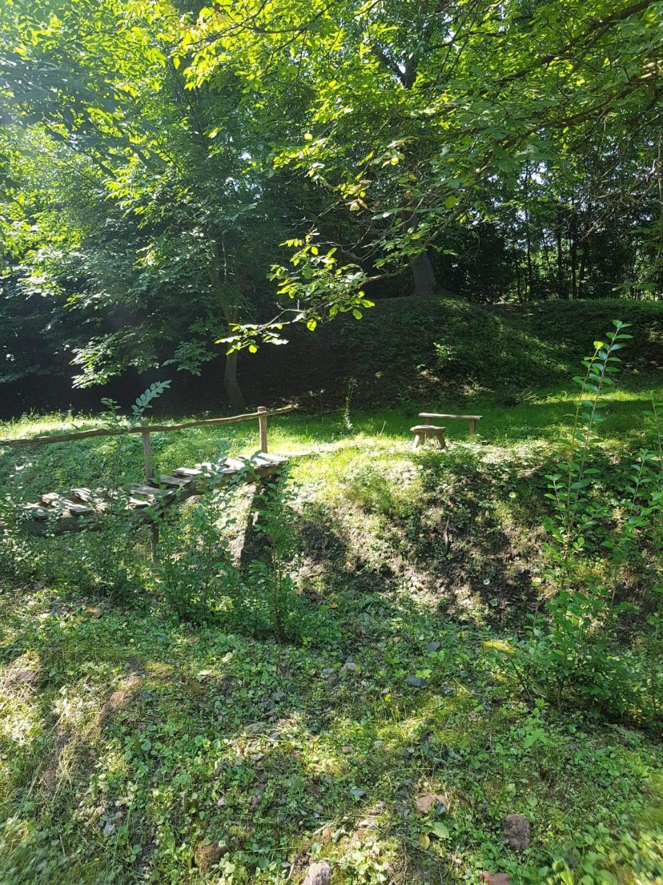 Skriveni Raj Leilighet Vrdnik Rom bilde